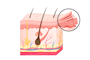 Dermatovenerologie