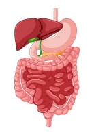 Medicina Interna