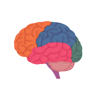 Neurochirurgie