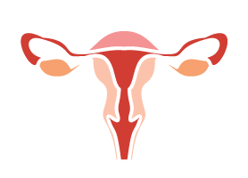 Obstetrica si Ginecologie