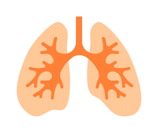 Pneumologie